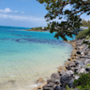 Meet your Posher, Cari